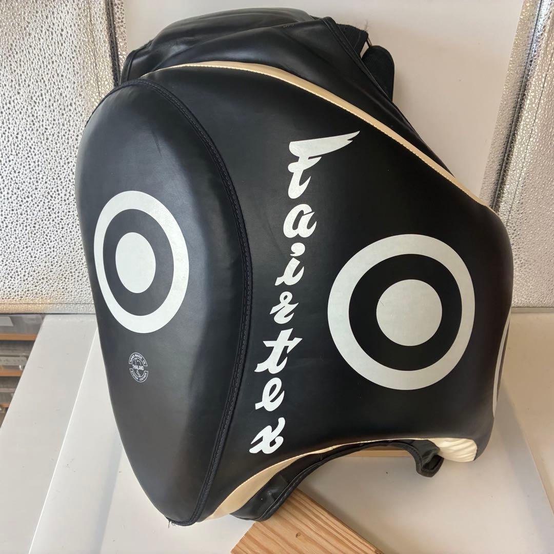 フェアテックス ローキック用タイパッド