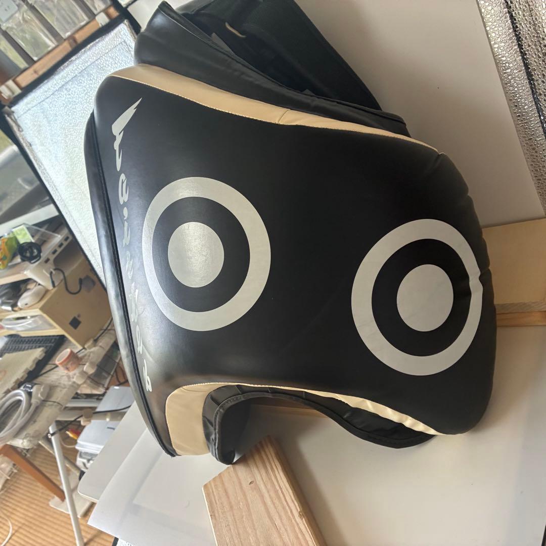 フェアテックス ローキック用タイパッド