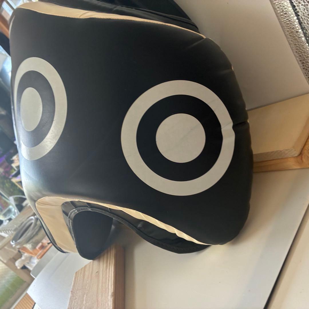 フェアテックス ローキック用タイパッド