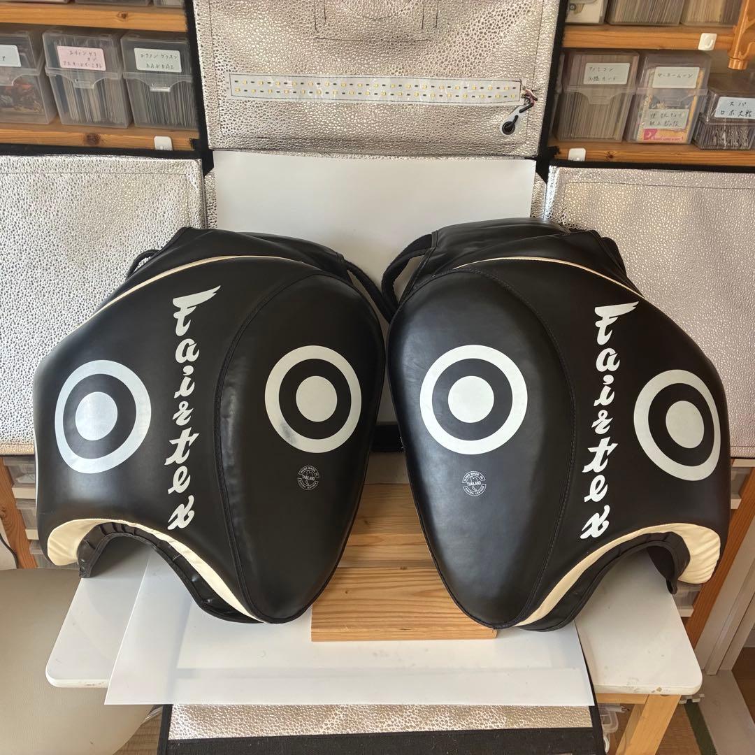 フェアテックス ローキック用タイパッド