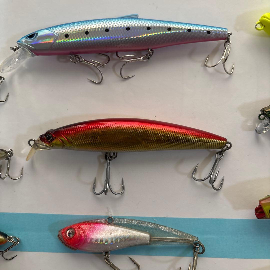 シーバス、青物、その他