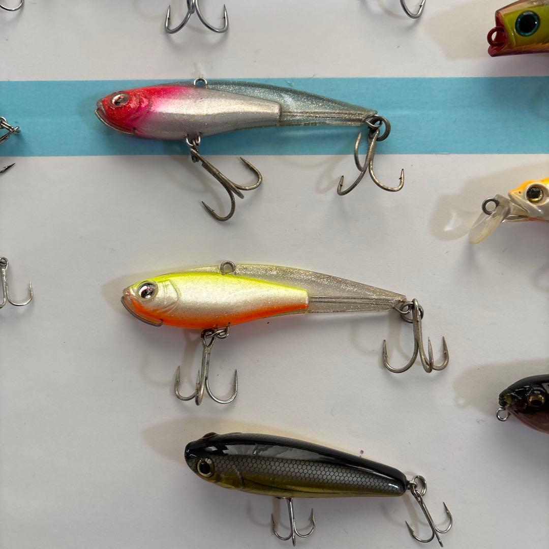 シーバス、青物、その他