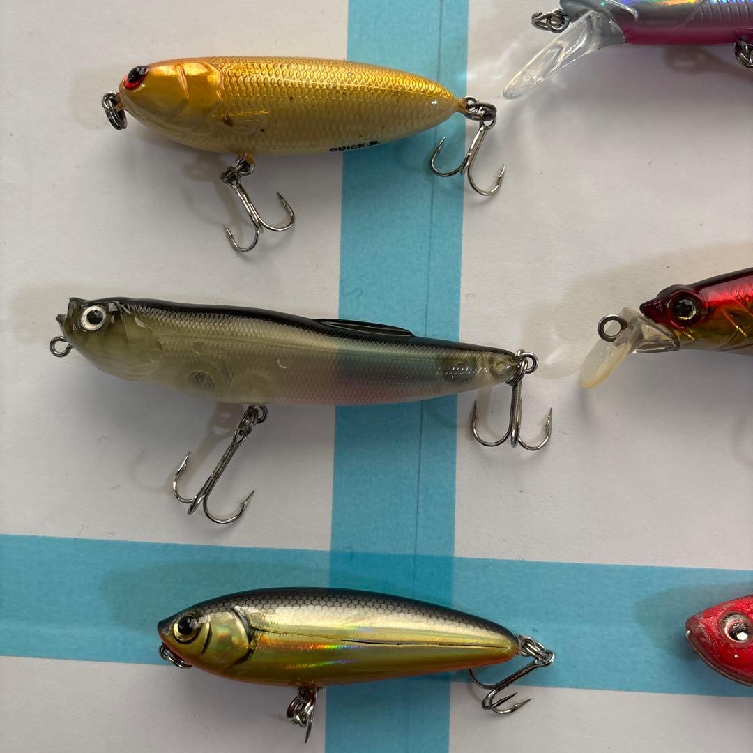 シーバス、青物、その他