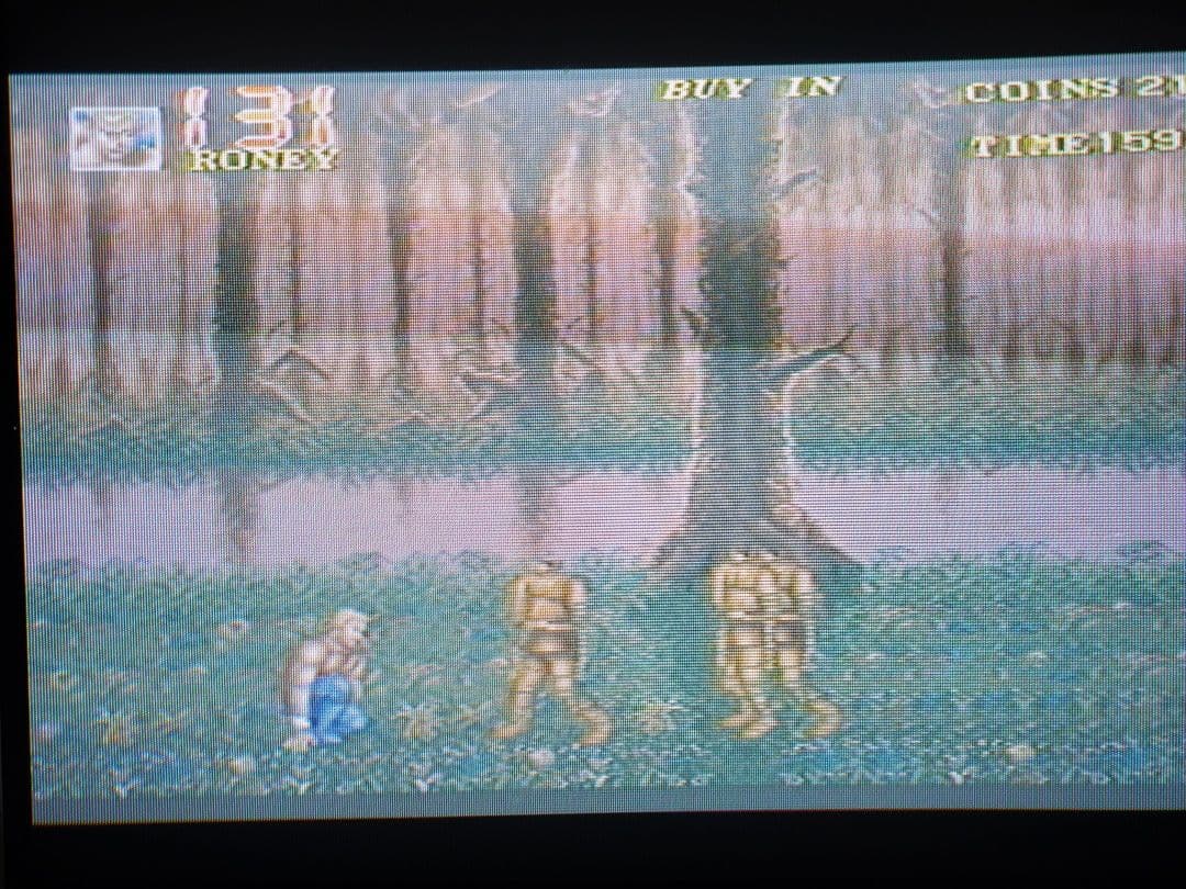 テクノスジャパン アーケード基板 ダブルドラゴン3 ロゼッタストーン