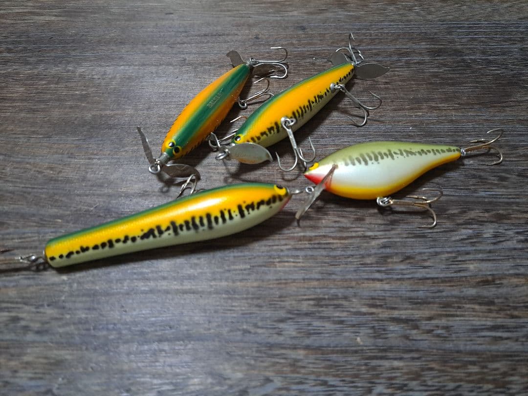 バルサ50　バスカラー　4個セット