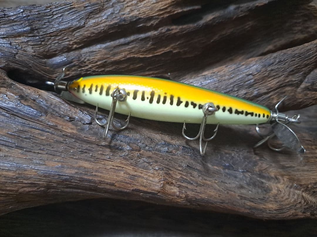 バルサ50　バスカラー　4個セット