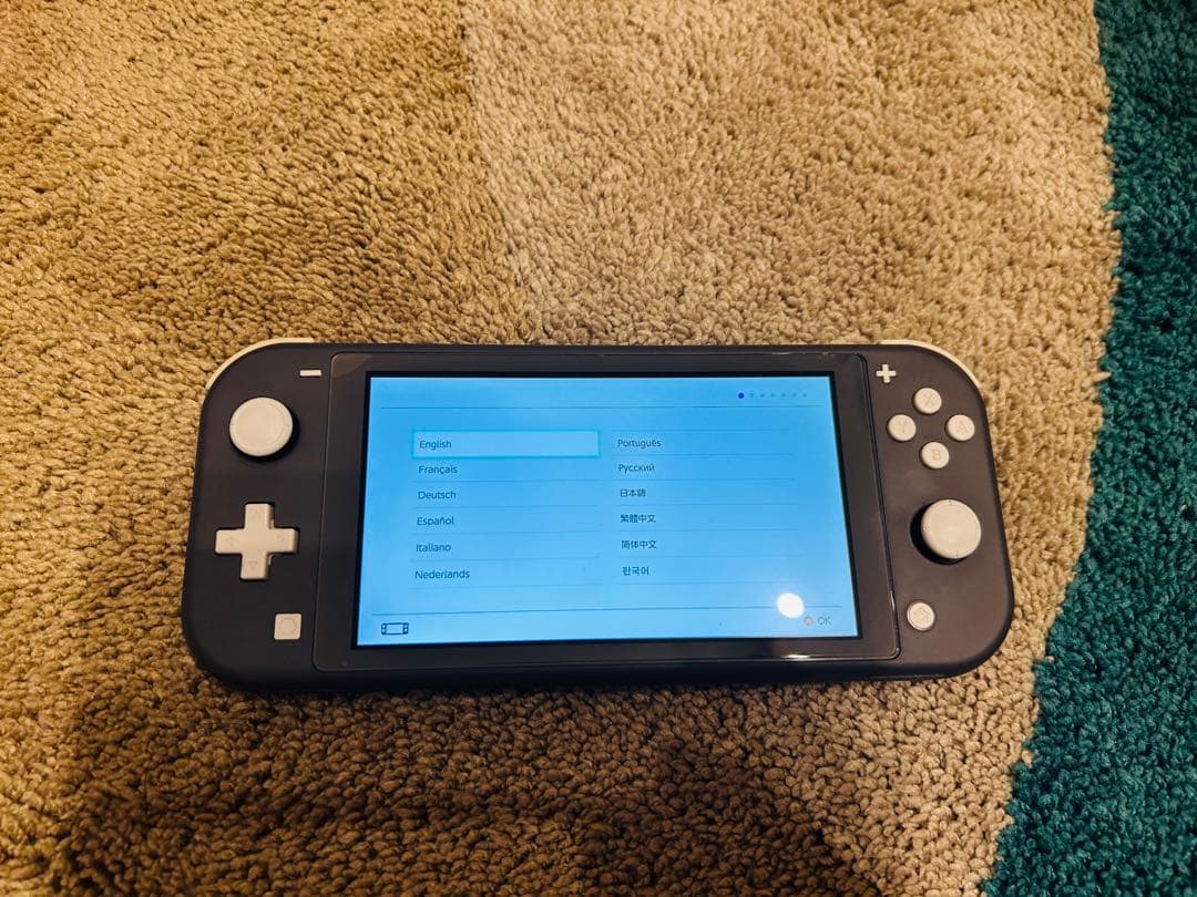 Nintendo Switch Lite グレー 本体　本体カバー付き