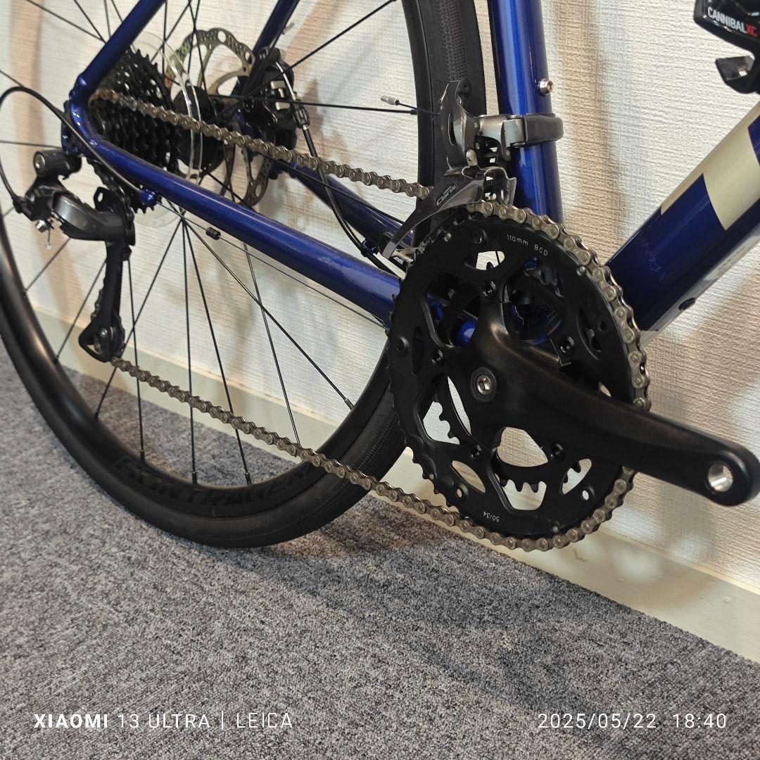 TREK DOMANE AL2 DISC GEN3 2023年