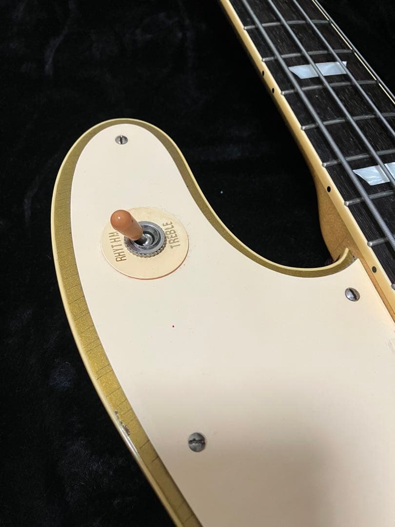 ベース Bruno guitars Telebird