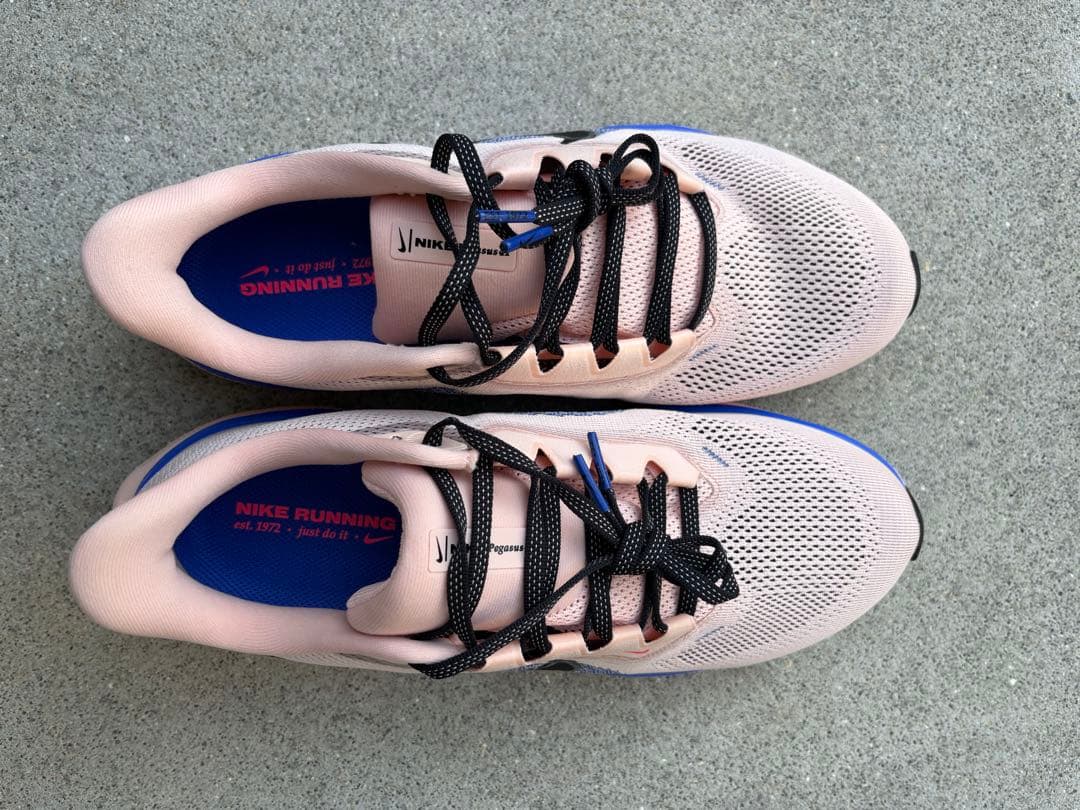 Nike ナイキ　Pegasus 41 ランニングシューズ　27.5cm