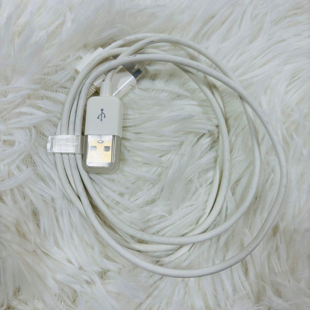 Apple iPod Classic 第5世代　30G 箱付き