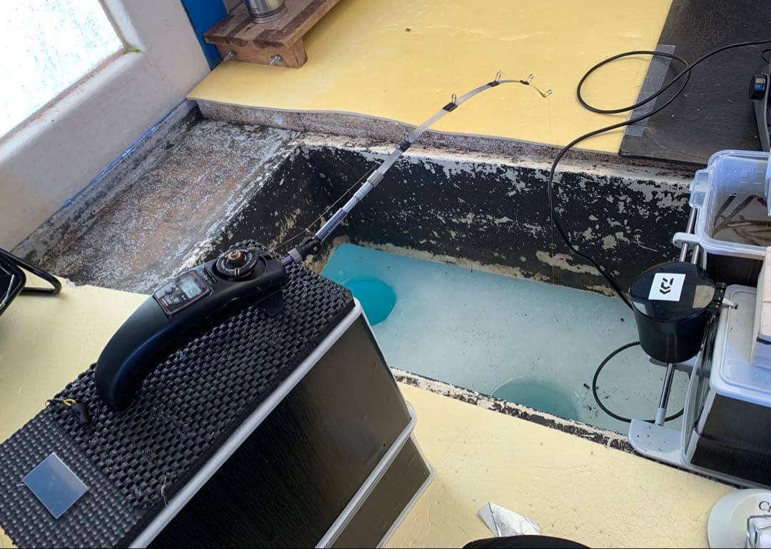 ワカサギステンレス穂先ロング 全長約300ミリ　２本