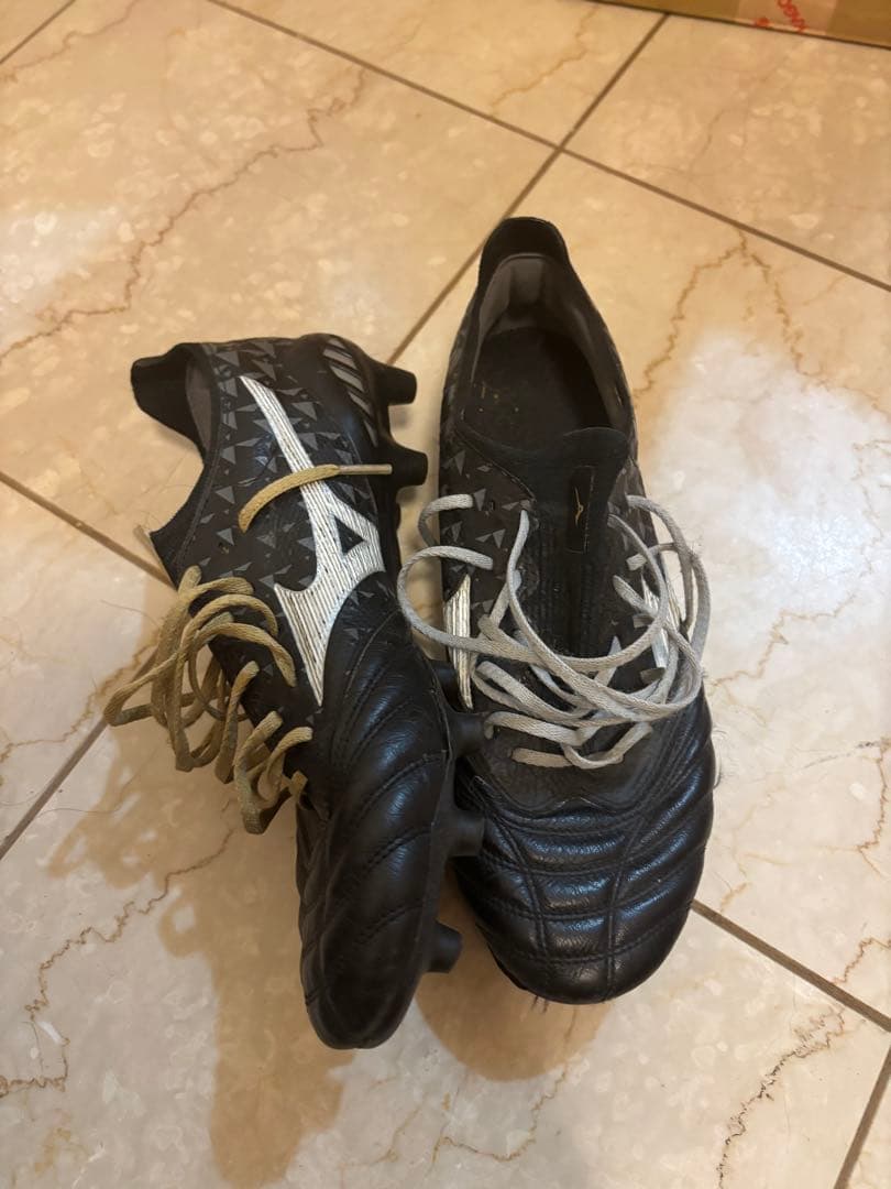 モレリアネオ3β オリガミ