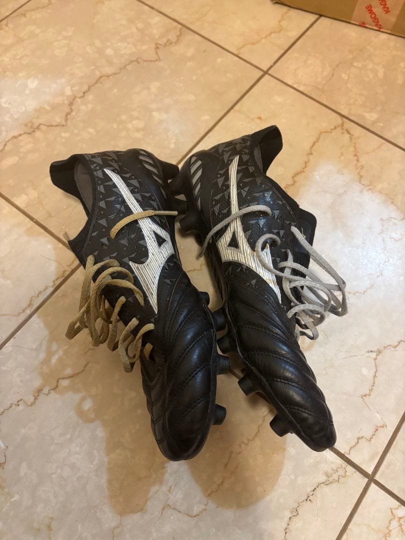 モレリアネオ3β オリガミ