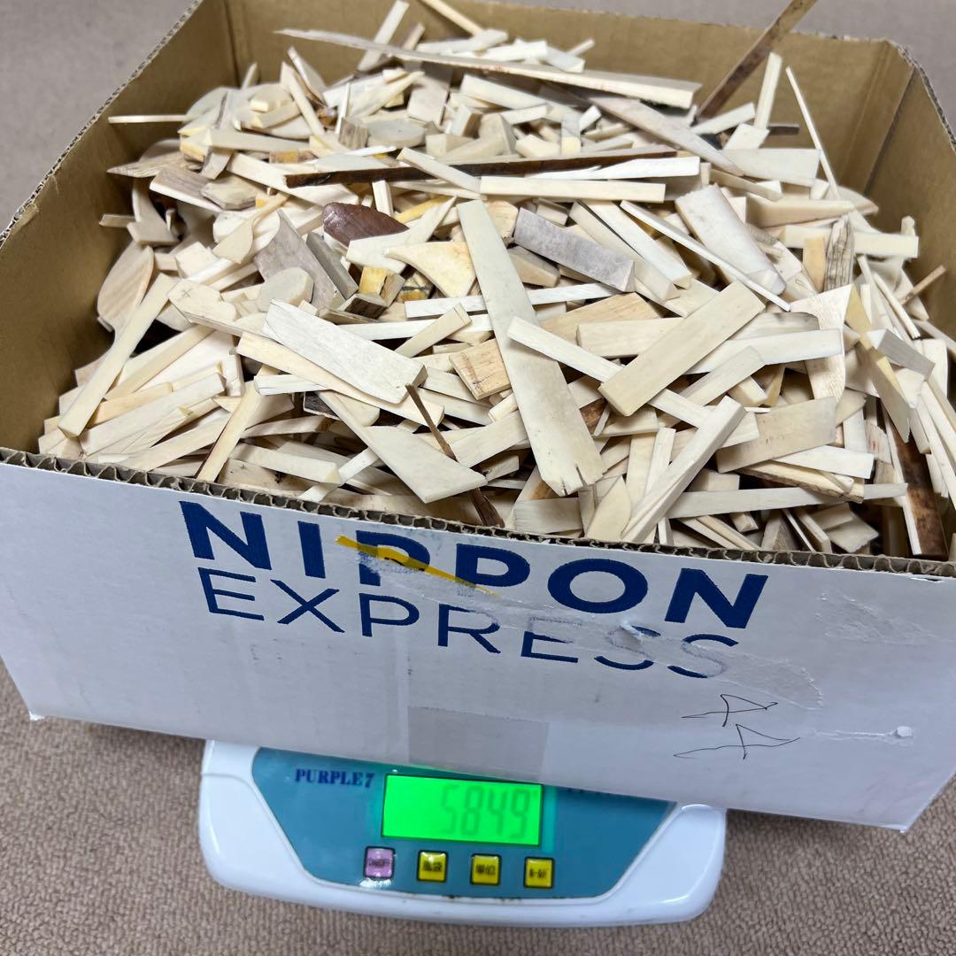 極上　楊枝素材　5849g 東K7-1217①