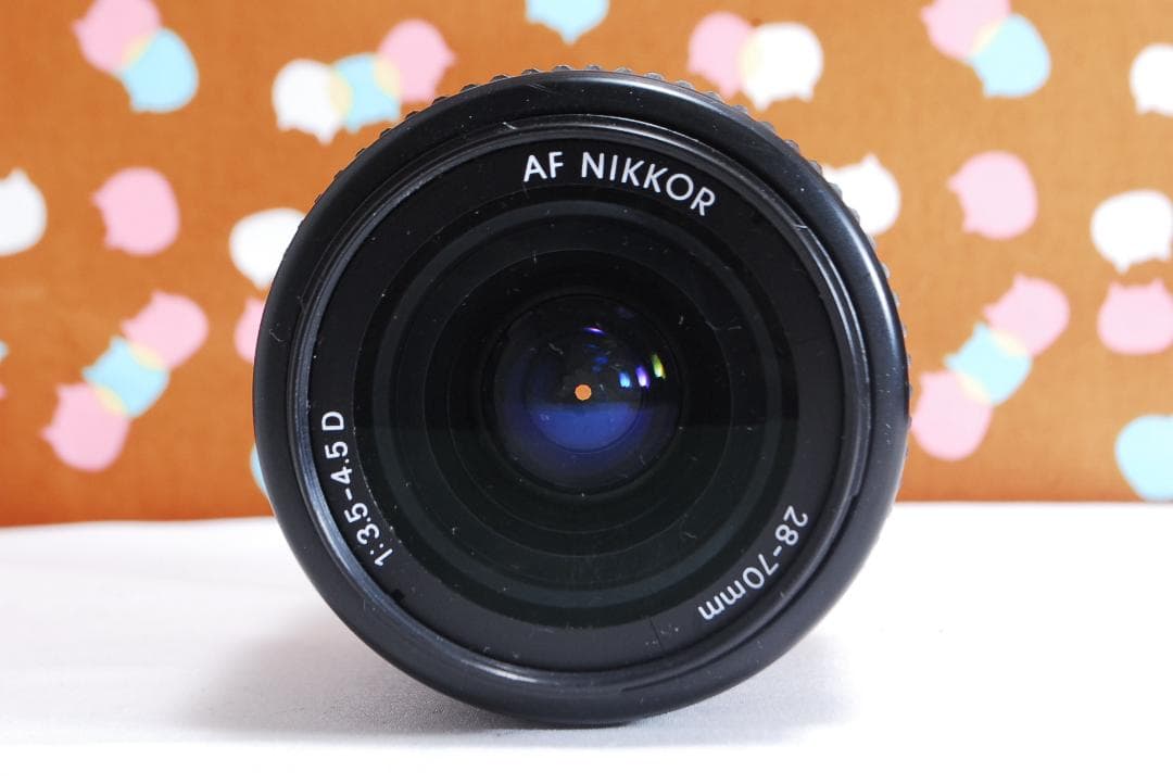 ✨届いてすぐ使える✨ハイアマチュア機✨Nikon D100 レンズセット