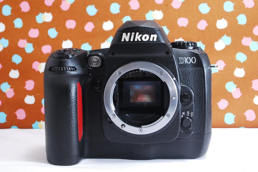 ✨届いてすぐ使える✨ハイアマチュア機✨Nikon D100 レンズセット