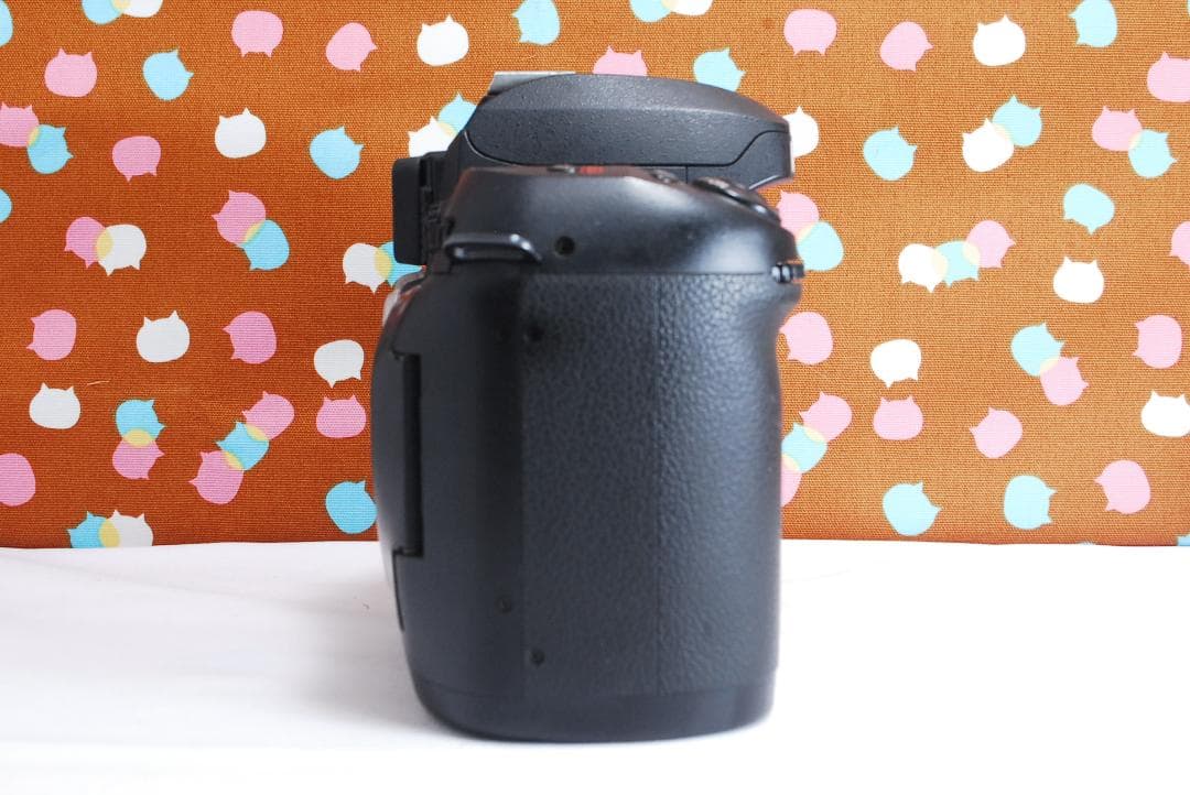 ✨届いてすぐ使える✨ハイアマチュア機✨Nikon D100 レンズセット