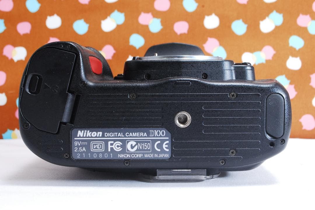 ✨届いてすぐ使える✨ハイアマチュア機✨Nikon D100 レンズセット