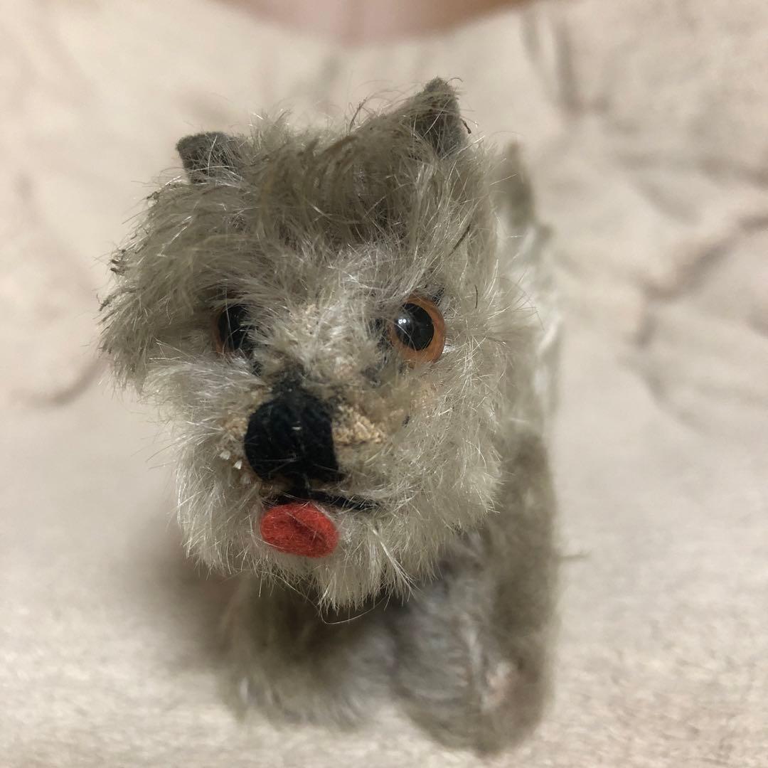 シュタイフ　シュナウザー　可愛い