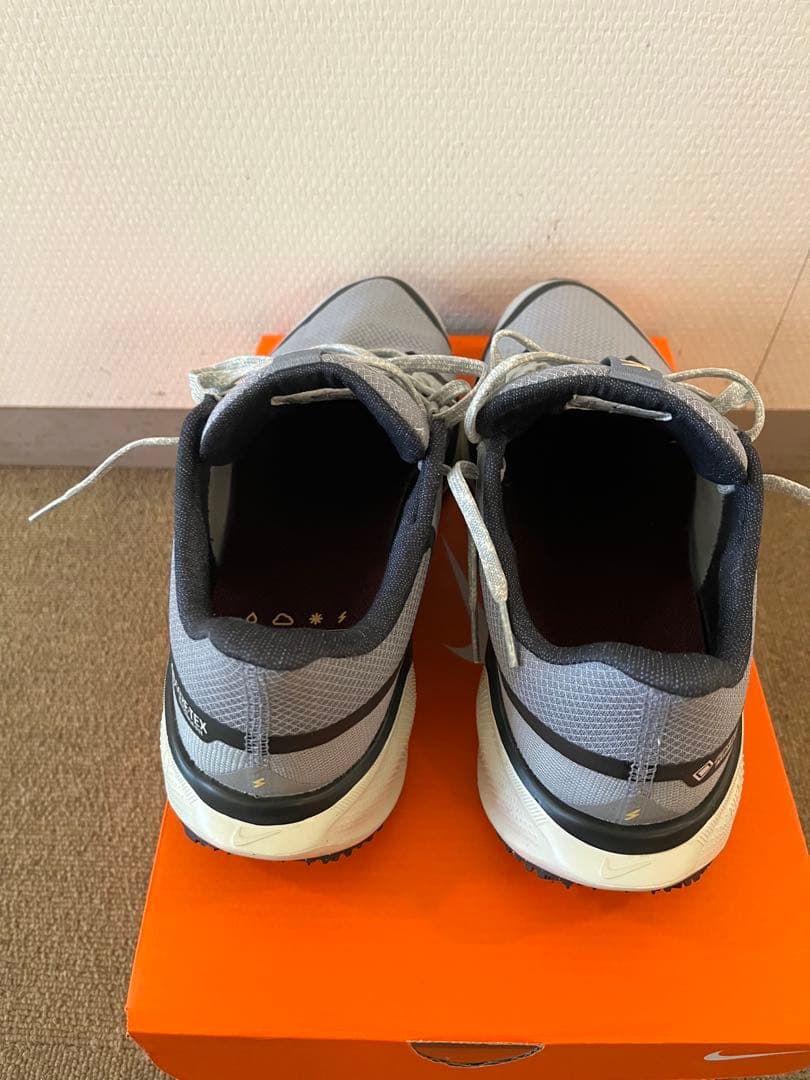 ナイキ ペガサス41 GORE-TEX