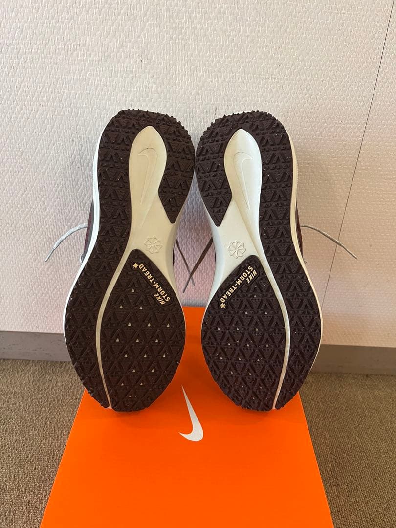 ナイキ ペガサス41 GORE-TEX