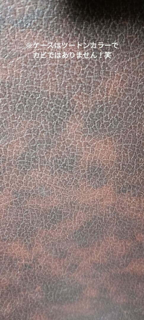 Songbird＊Thunder Wave