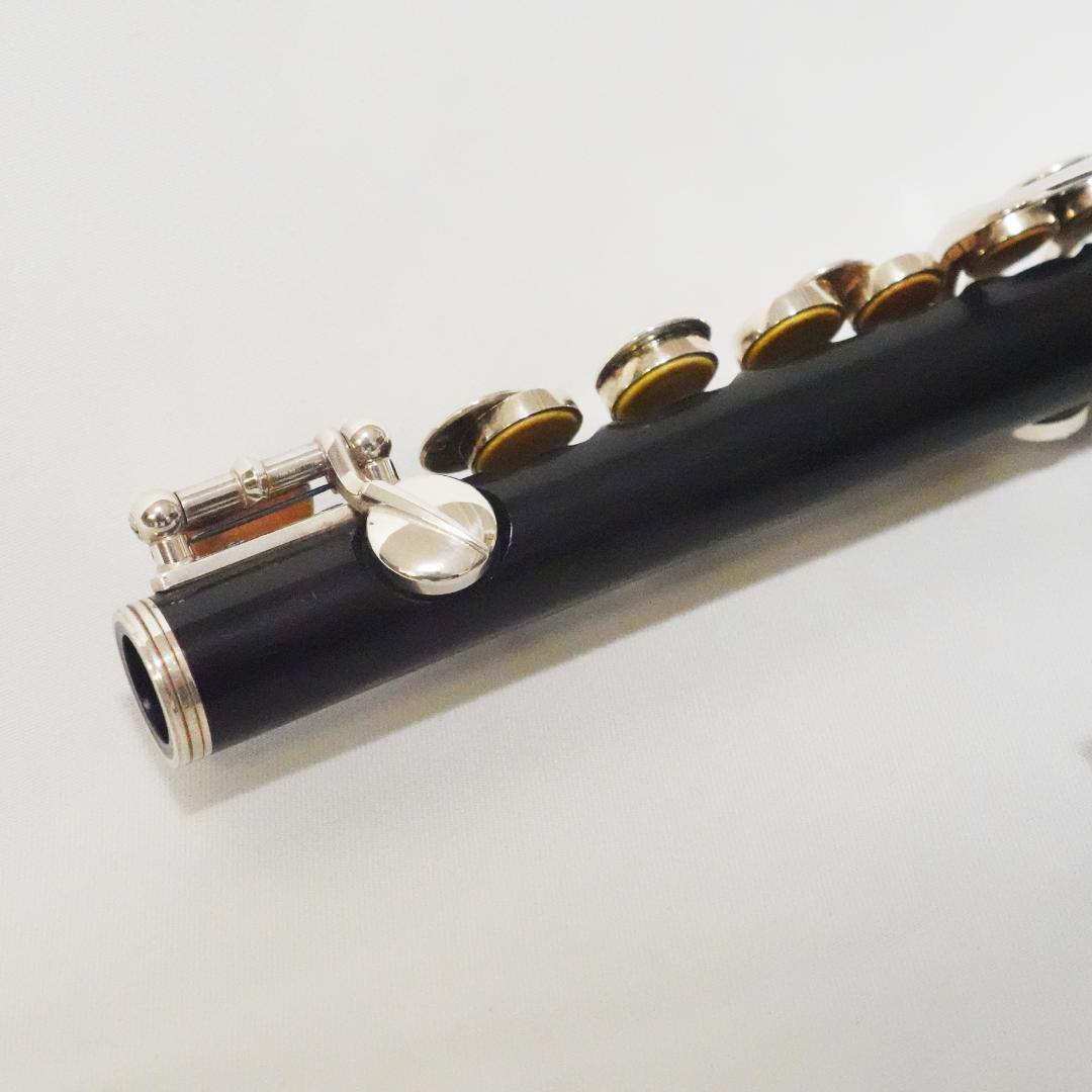 P.Hammig ピッコロ 650/3 Eメカ、Gisメカ付