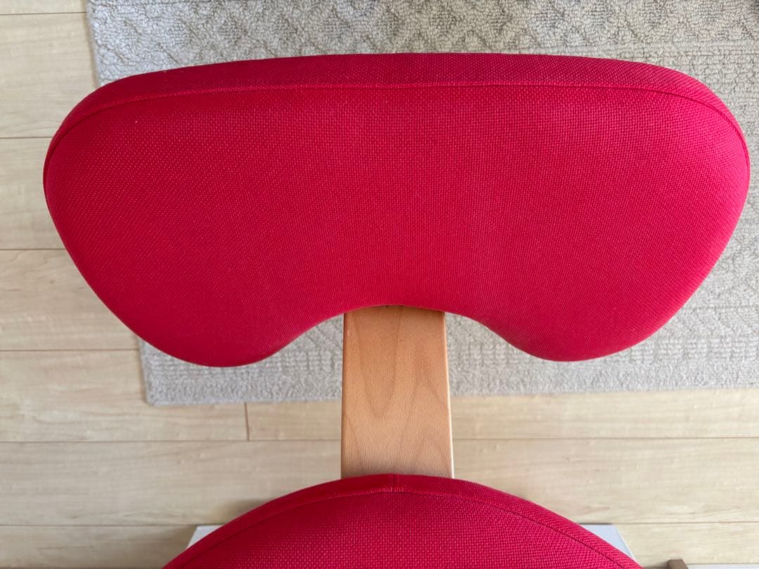 【美品】カバー付／箱付正規品 バランスチェア（サカモトハウス）バランスチェア