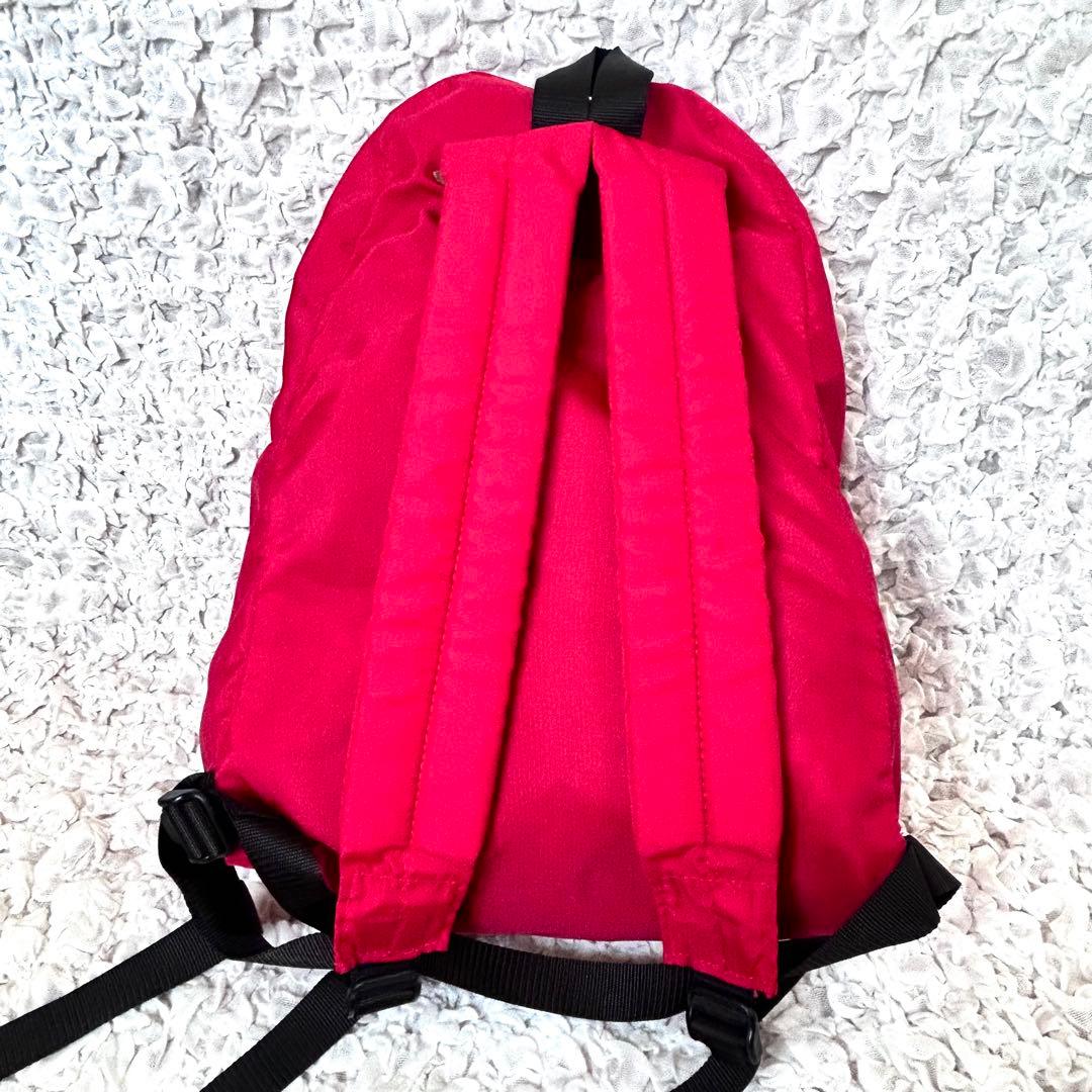 キッドさま　エルベシャプリエ　希少 USAタグ　ナイロンディパック