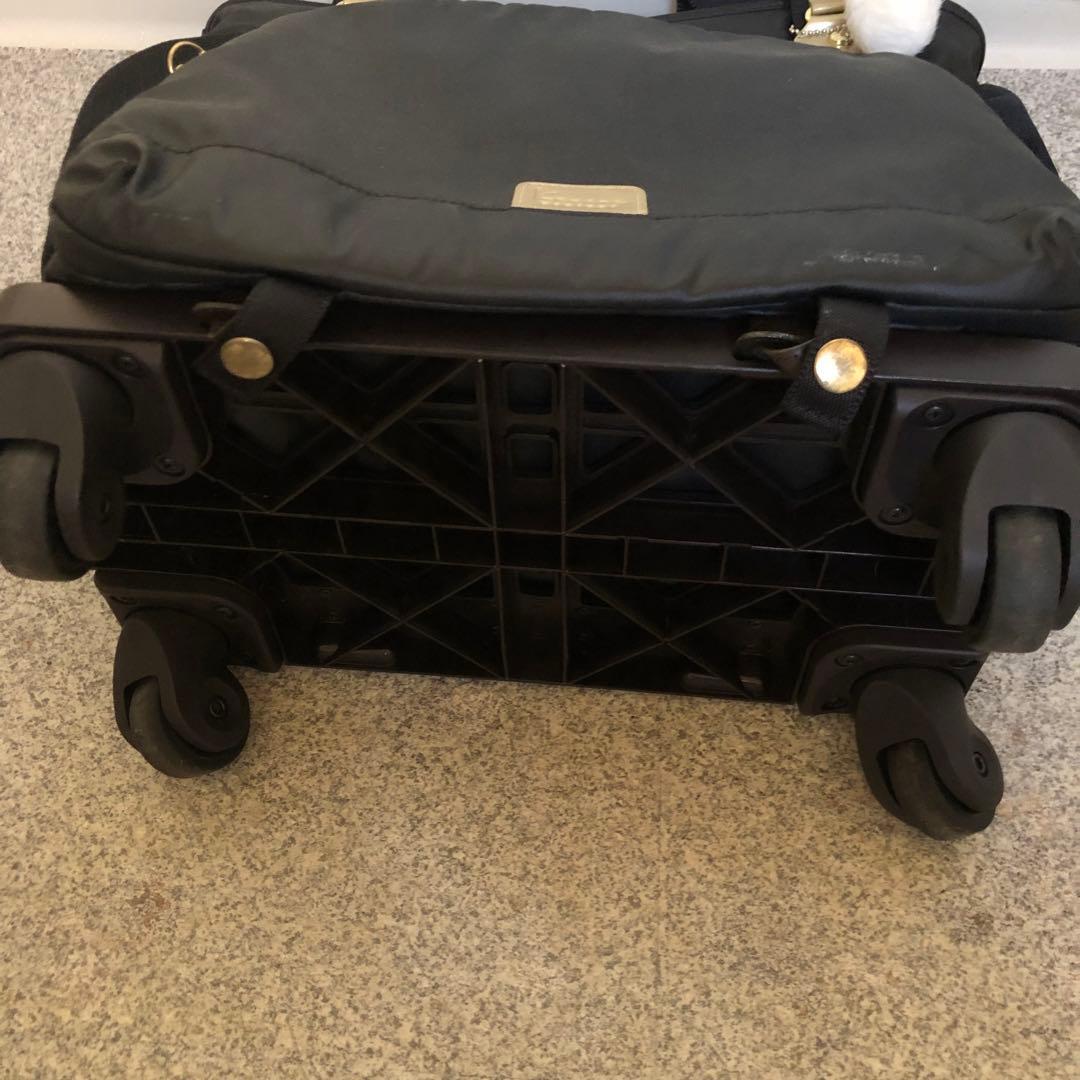 カナナプロジェクト キャリー