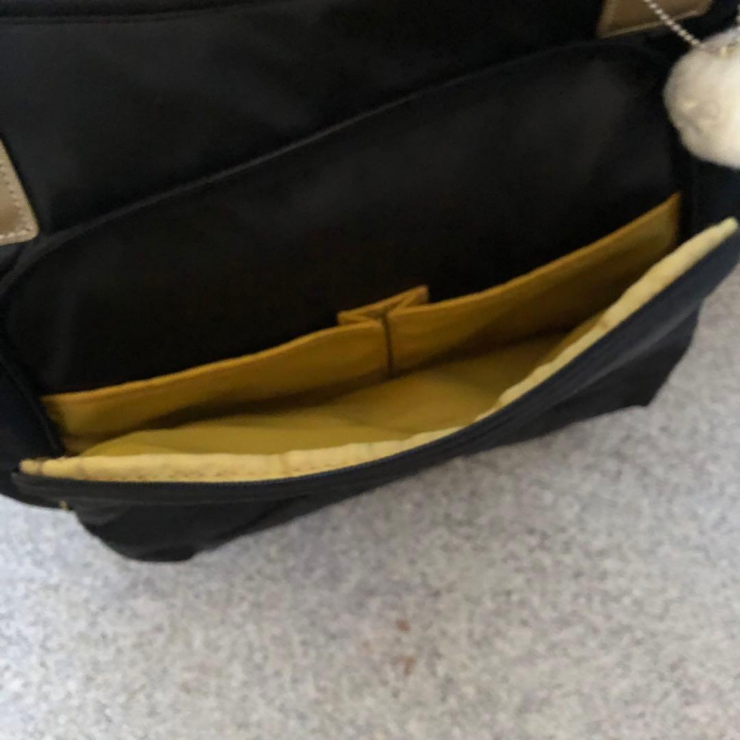 カナナプロジェクト キャリー