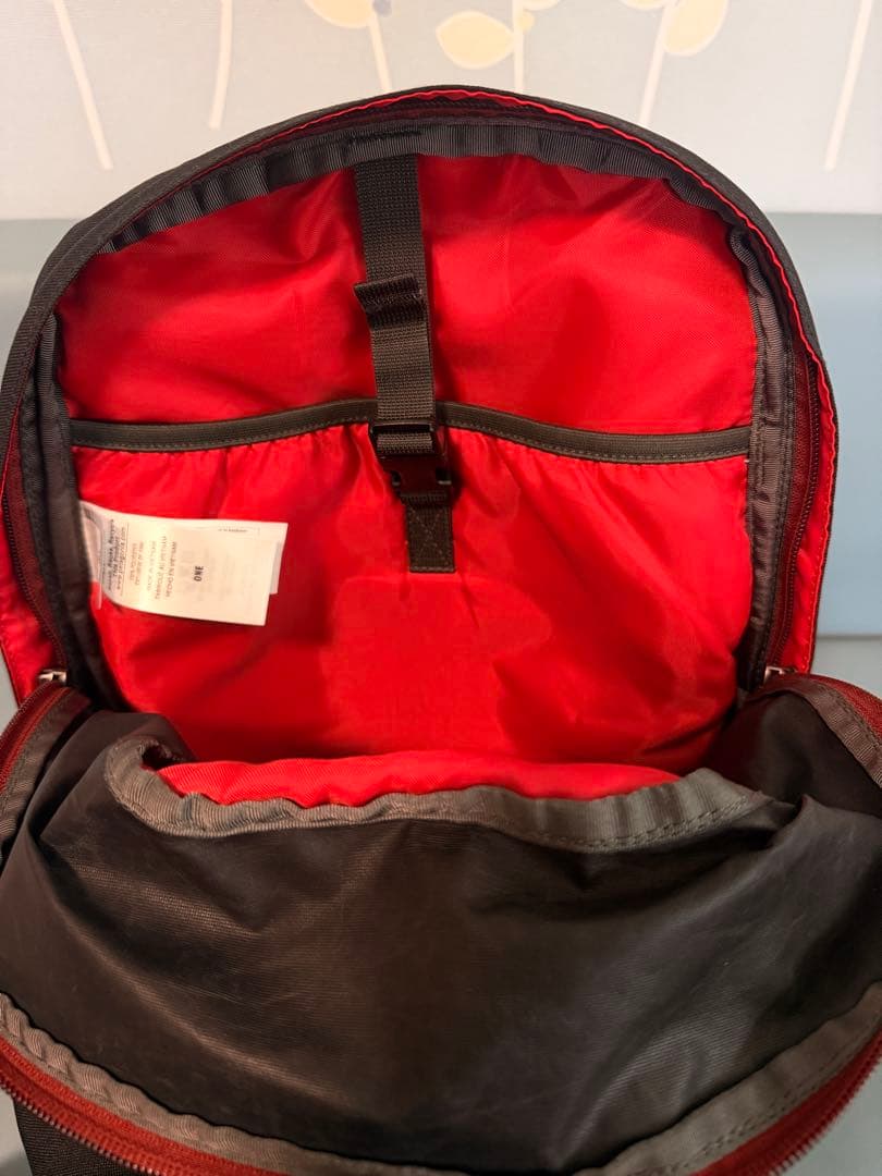 【極美品】パタゴニア アーバー・デイパックArbor Day Pack 20L