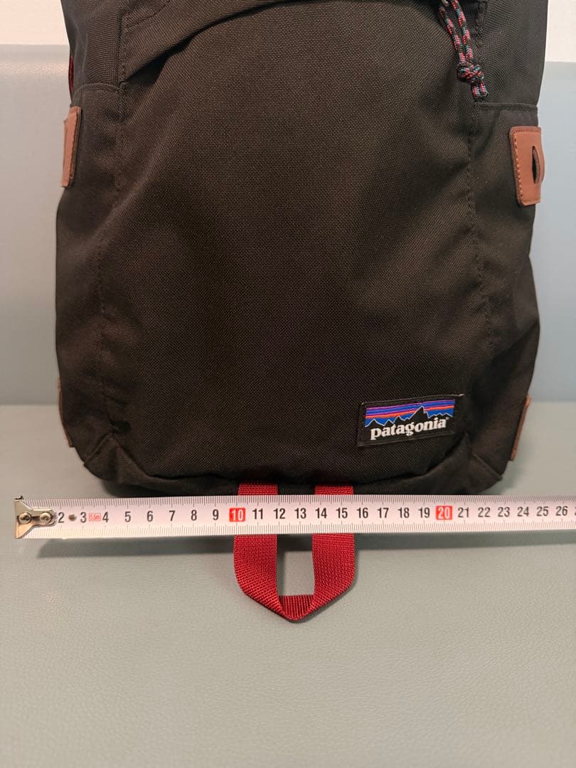 【極美品】パタゴニア アーバー・デイパックArbor Day Pack 20L