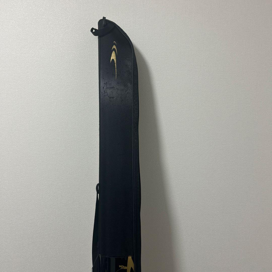 DIALUNA S100MH シーバスロッド