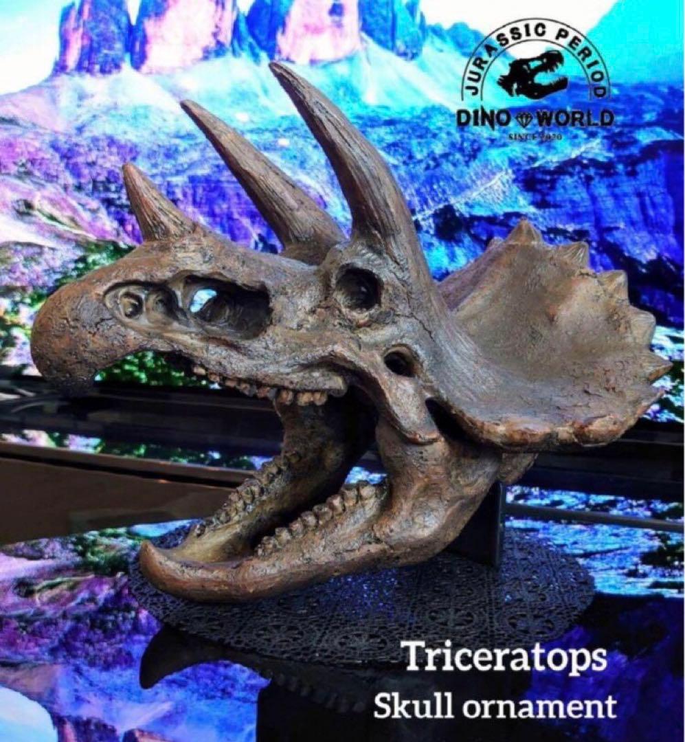 ✨お得なセット✨ ティラノサウルス トリケラトプス 化石 ジュラシックワールド