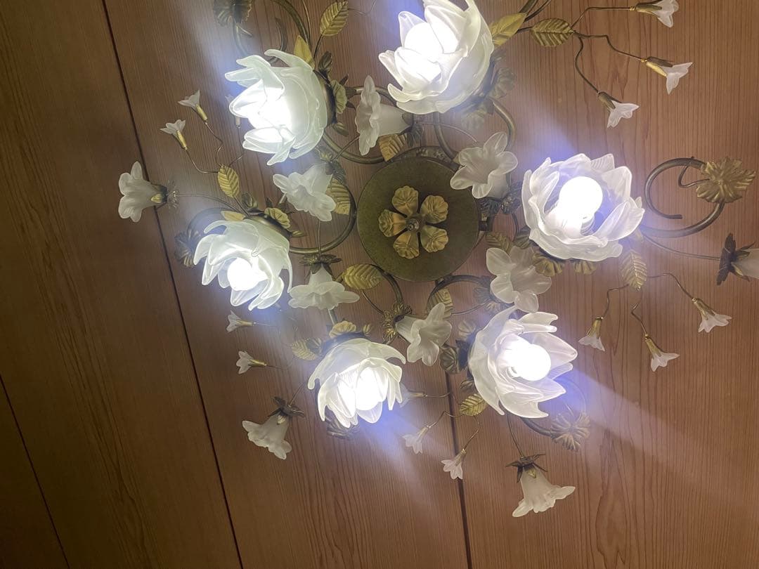 花の形状の6灯シャンデリア