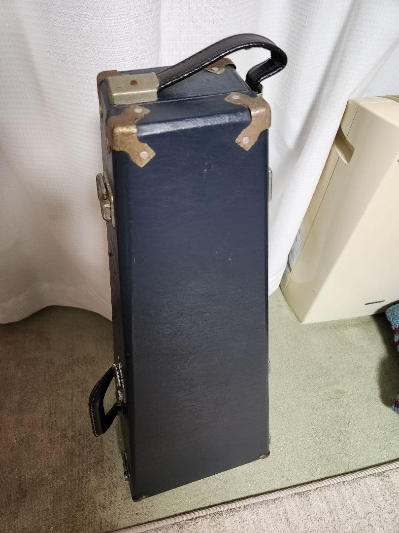 Raffaele 寺田楽器製 マンドリン RM-3