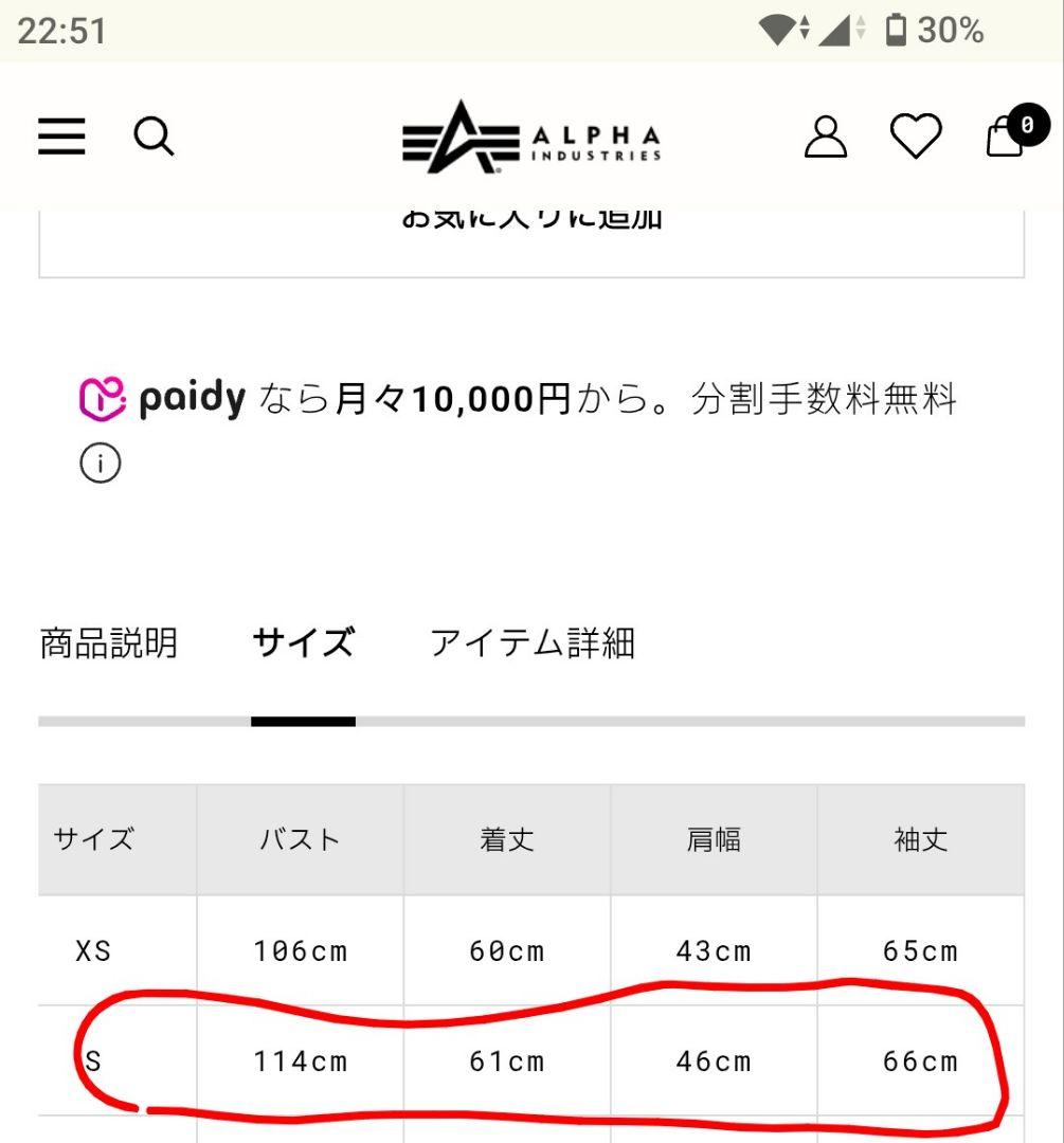 アルファインダストリーズ MA-1 2025年 日本国内流通版 - メルカリ