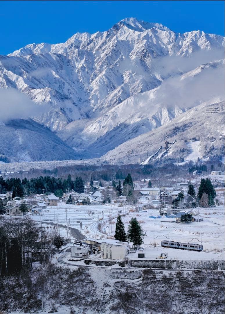 『美品』Nikon Z 5 ミラーレス一眼 本体 シャッター343枚