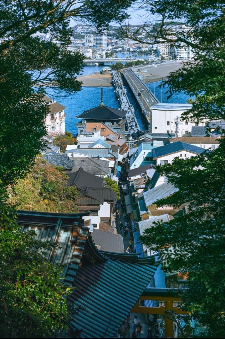 『美品』Nikon Z 5 ミラーレス一眼 本体 シャッター343枚