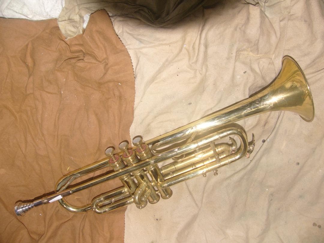 激レアETERNAL PROGRESS SUPREME-TONE / B♭&C管