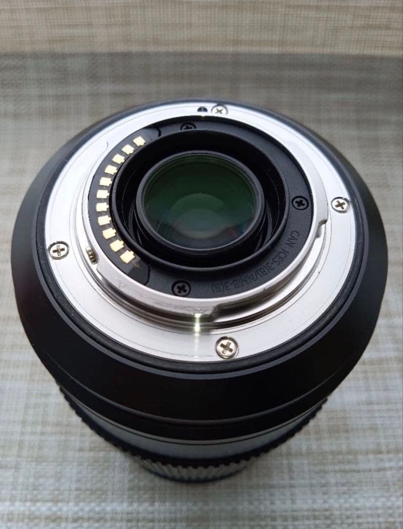 レンズ(ズーム) LUMIX G VARIO 100-300mm/F4.0-5.6 II