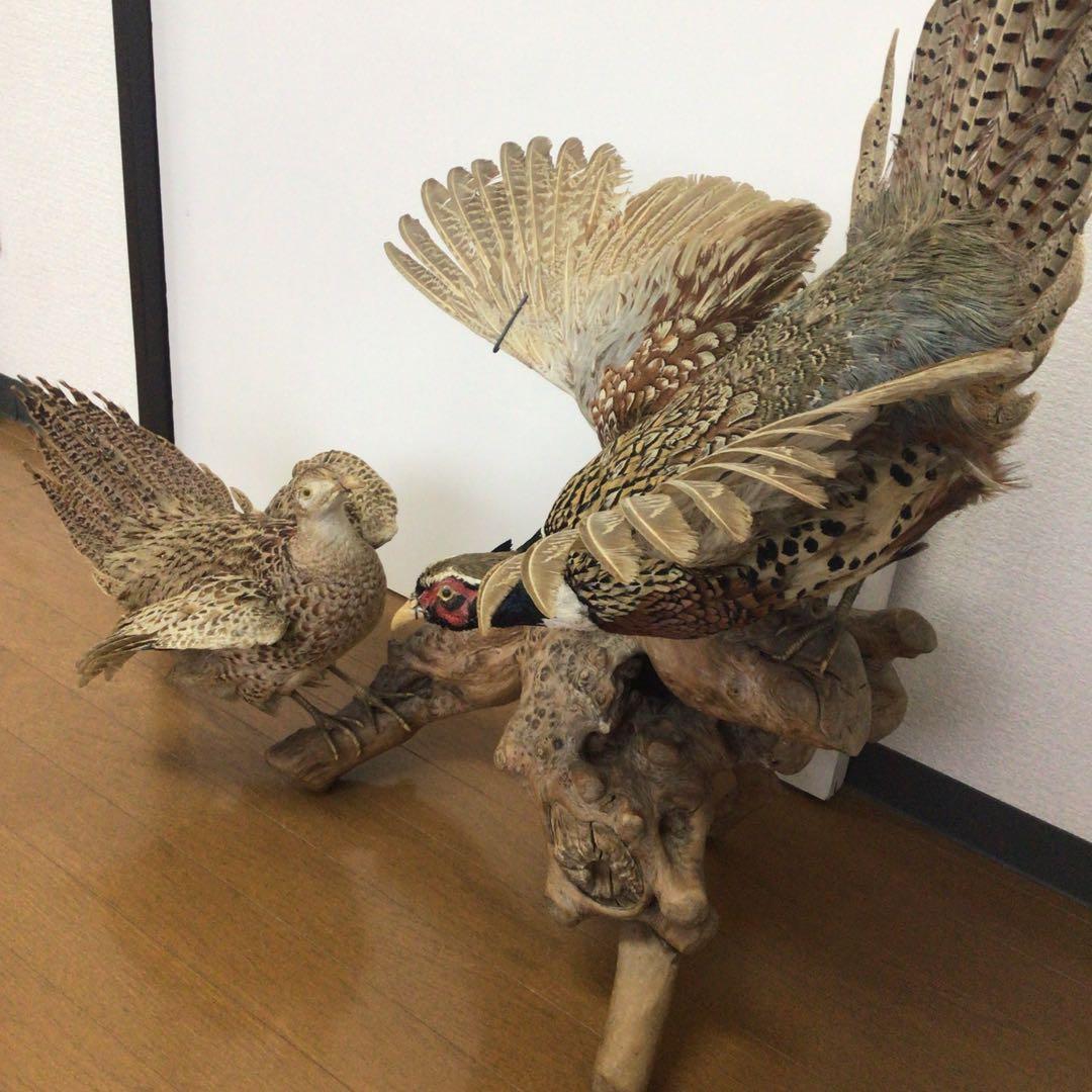 NO.288 飛翔する雉の置物 雄、雌