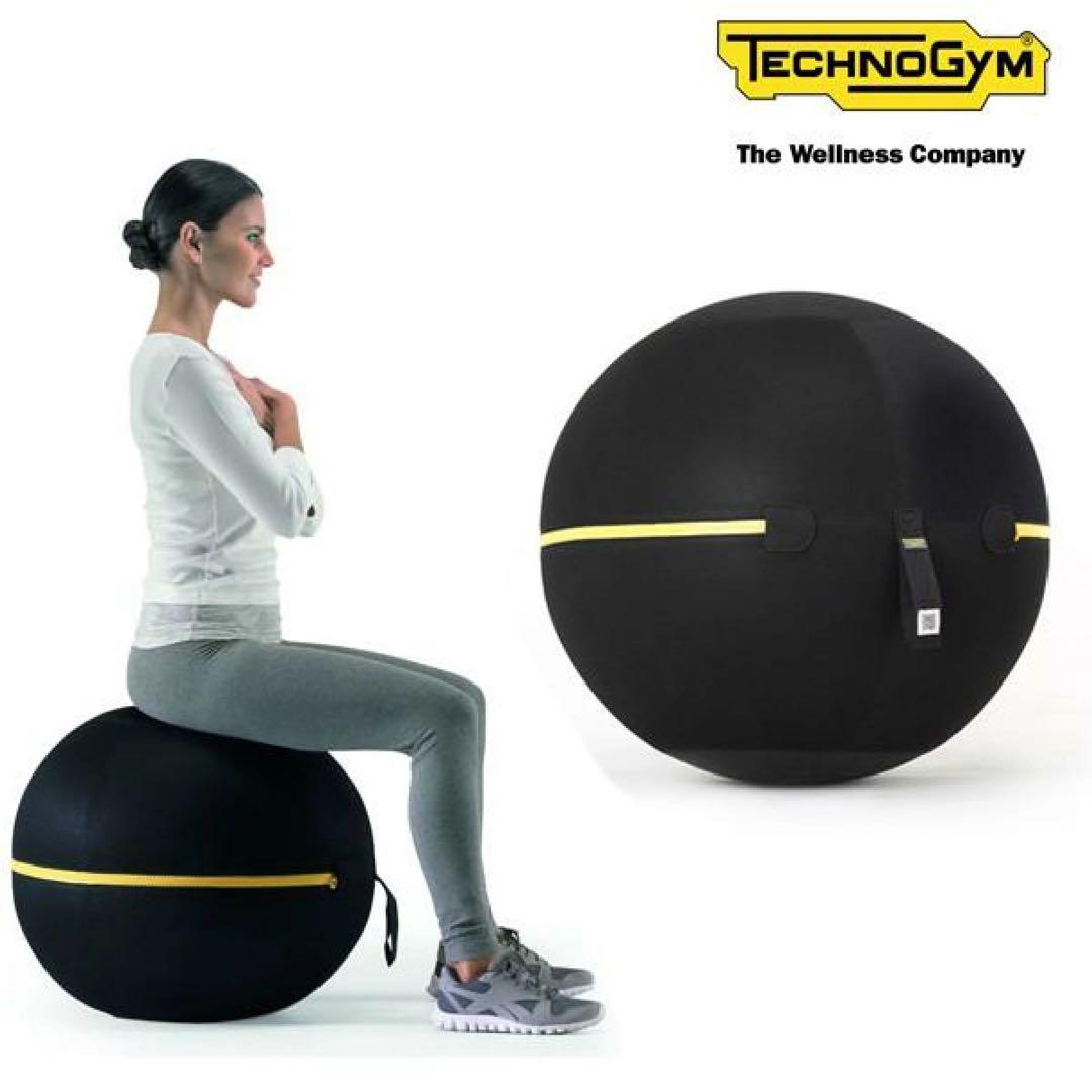 テクノジム Technogym バランスボールチェア（55cm） フィットネス
