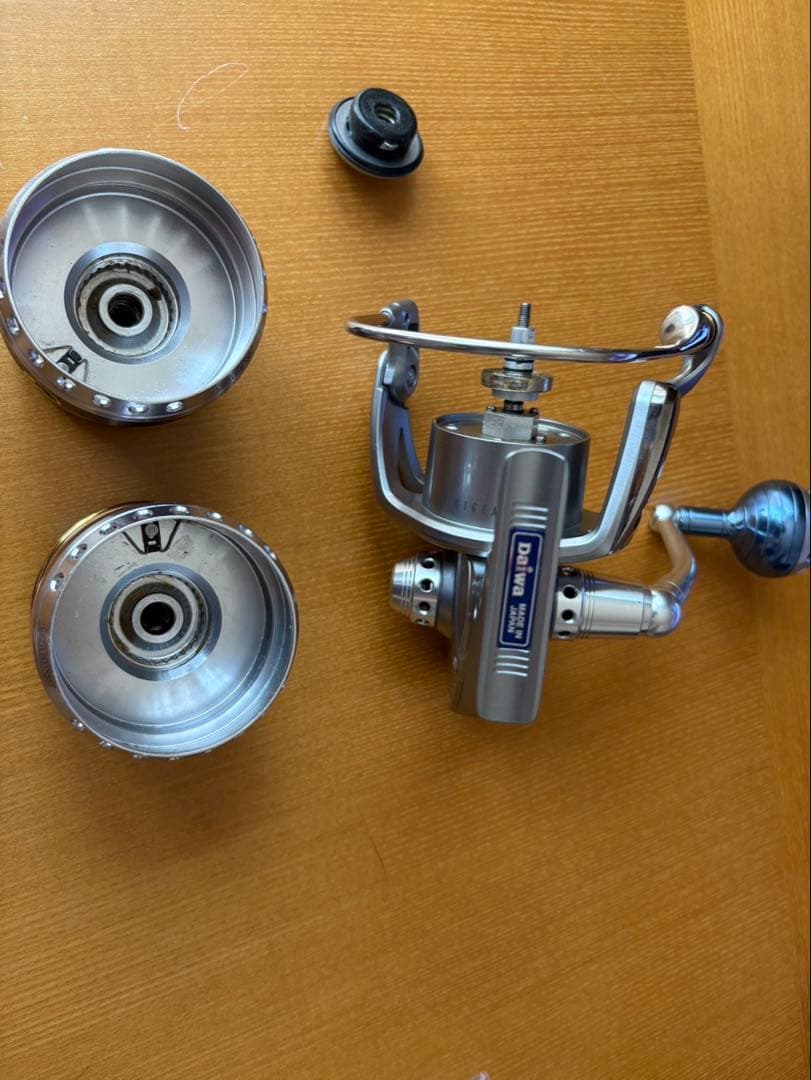 ダイワ ソルティガZ 6000GT