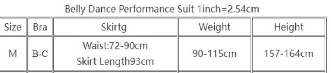 ⚠️在庫一掃セール⚠️ホワイト　ベリーダンス　ブラベルトスカートインナーパンツセット