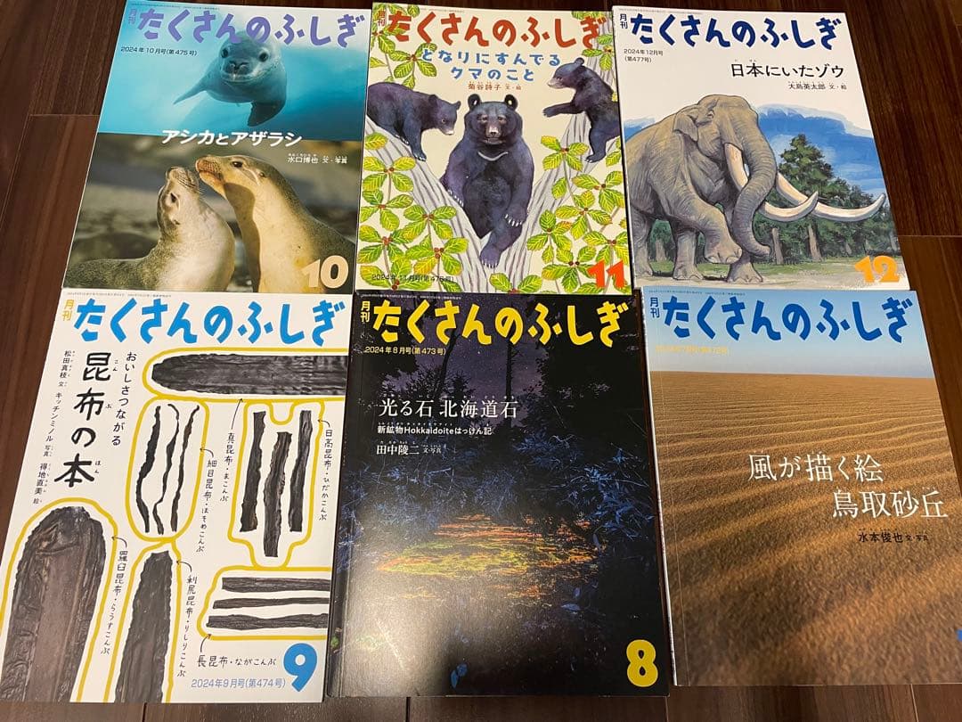 月刊たくさんのふしぎ2024年　12冊　ほぼ新品