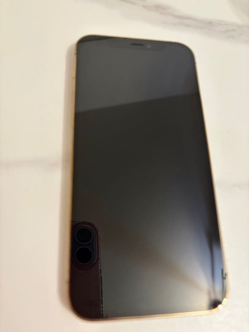 【美品・状態良】iPhone12Pro 256GB [SIMフリー]