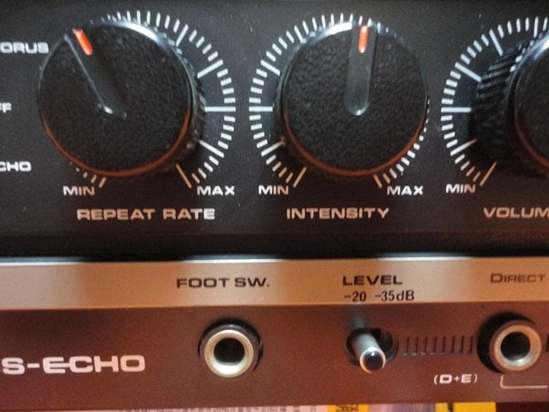 T*o様 Roland DC-30 Vintage Analog Delay　ロ